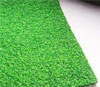 Grass Carpets